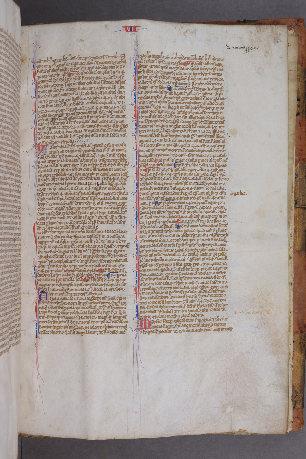 Folio 162 recto